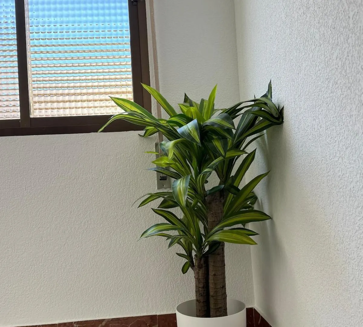 Lejlighed Alojamiento El Limonero B Baeza Spanien